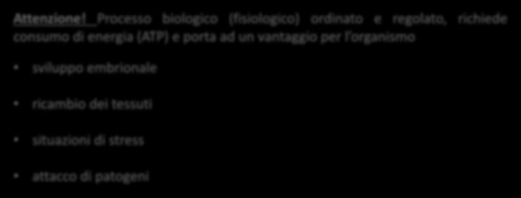 Processo biologico (fisiologico) ordinato e regolato, richiede consumo di energia (ATP) e porta ad un