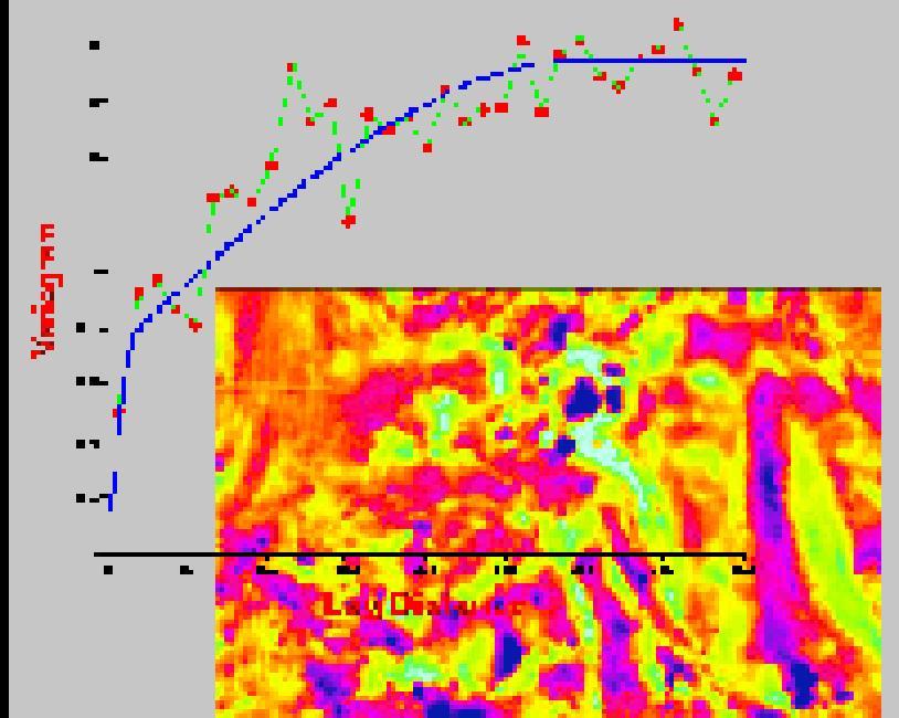 3) Impiego di tecniche di geostatistica per l interpolazione spaziale dei dati (corso avanzato ArcGIS 9.