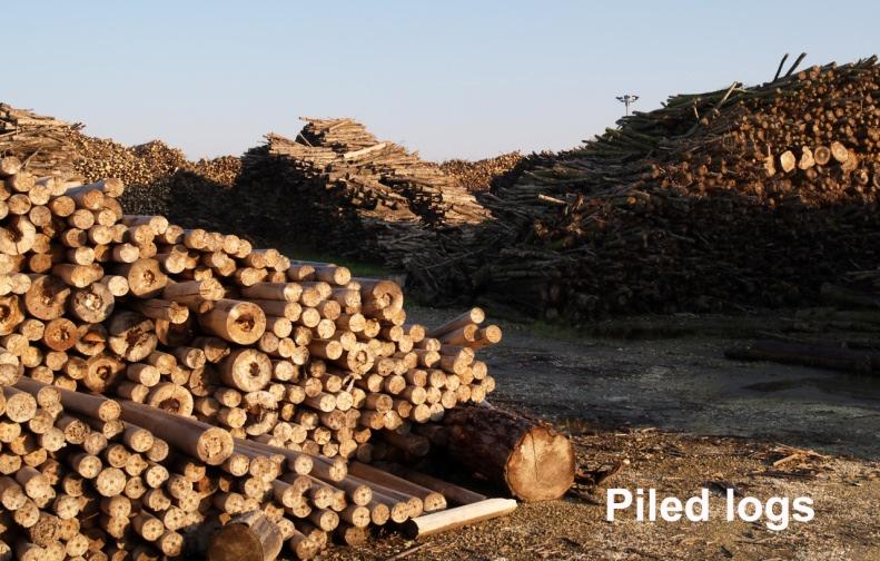 La quasi totalità della biomassa utilizzata dal Gruppo proviene dal bacino degli impianti: la biomassa dell impianto di Bando è totalmente di