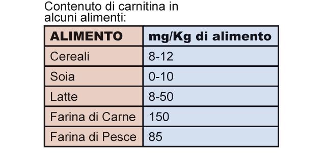 Proteine.