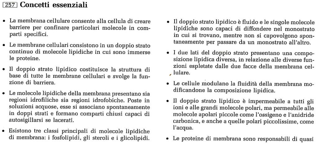 Membrane Membrana