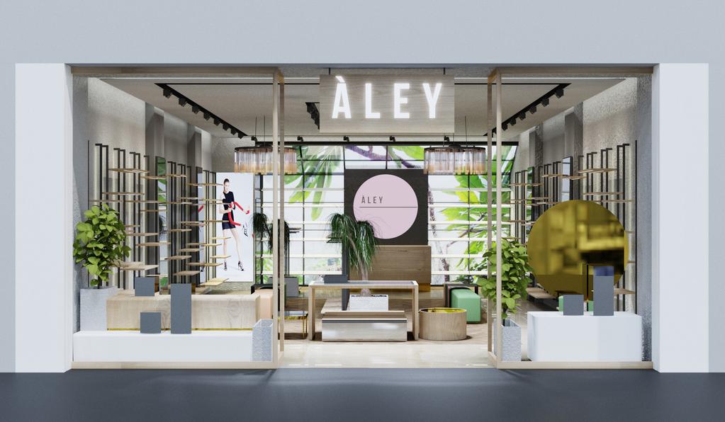 ALEY STORE PRELMINARY CONCEPT