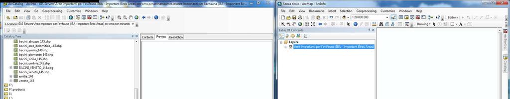 Preview all interno di ArcCatalog.