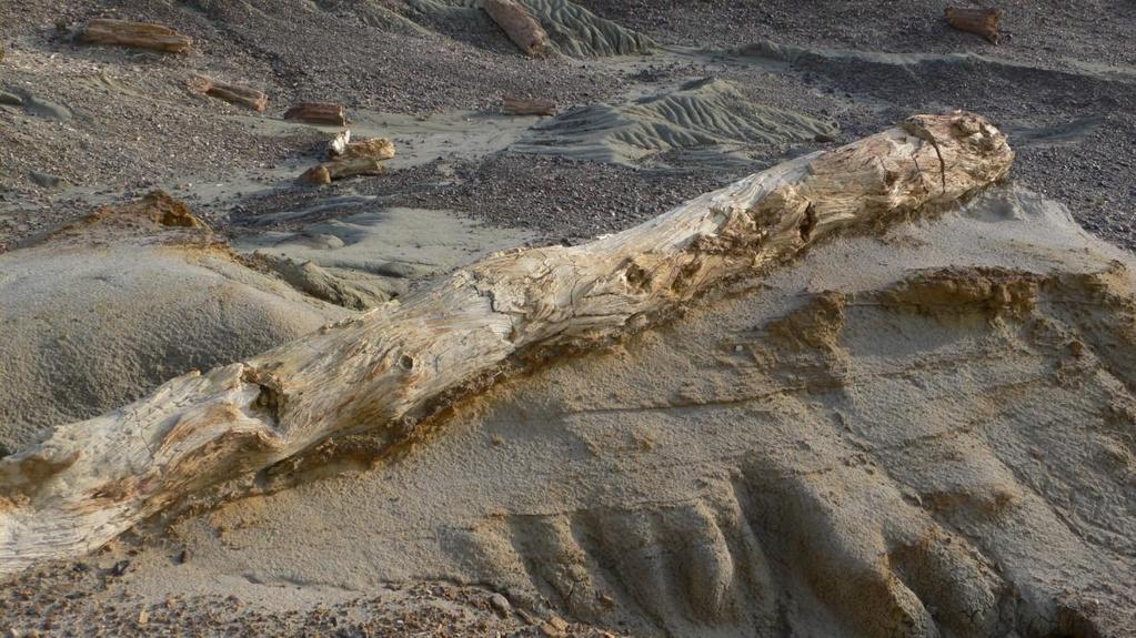 ci addentriamo nella vallata verso ovest dove si trovano i giacimenti più importanti, fino ad arrivare al bosco