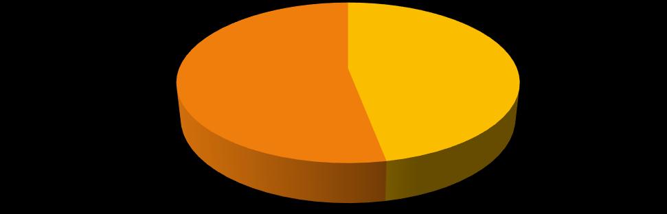 24/73 33% 49/73 67% Dislipidemia nota Dislipidemia non nota 59/74 80%