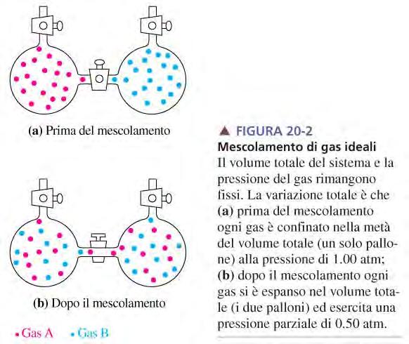 gas ideali { A (g) } + { B (g) } { A (g) + B (g) } V tot = cost 1 p tot = cost 2 ΔS = S misc [ S A(g) + S B(g) ] > 0 n tot = cost 3 S = KlnW W è