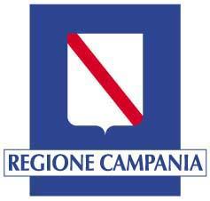 REGIONE CAMPANIA Assessorato alla Sanità Osservatorio Epidemiologico Regionale L epidemia