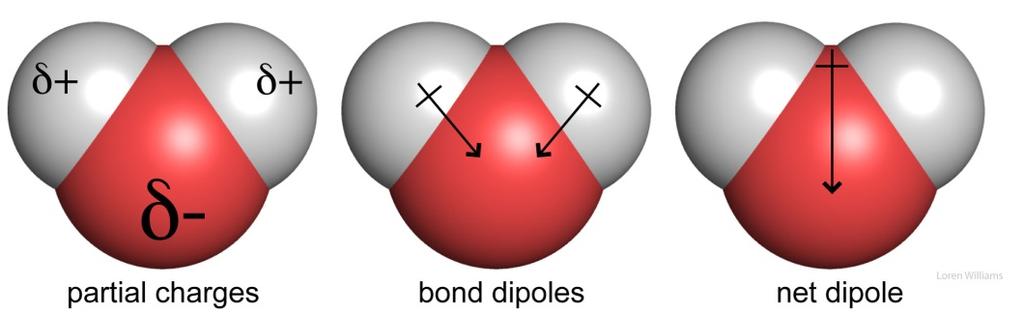 Soluzioni e Colloidi 3 Una soluzione è una miscela omogenea esistente come una singola fase. Le particelle in una soluzione sono singoli atomi, ioni, o molecole.