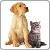 Kit Animal Care** > Adatto per coloro che hanno animali