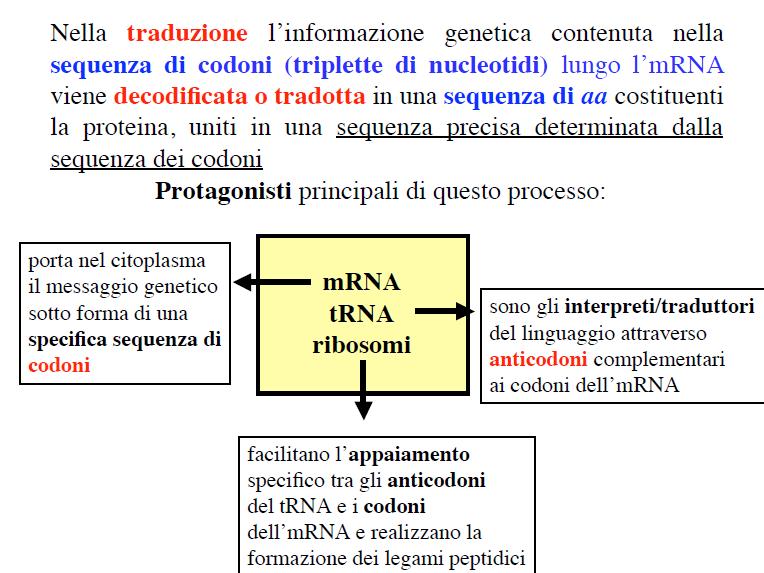 Biologia