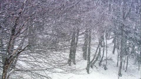 In base alla latitudine sono distinguibili solo due stagioni: quella invernale fredda, prevalente da settembre a maggio