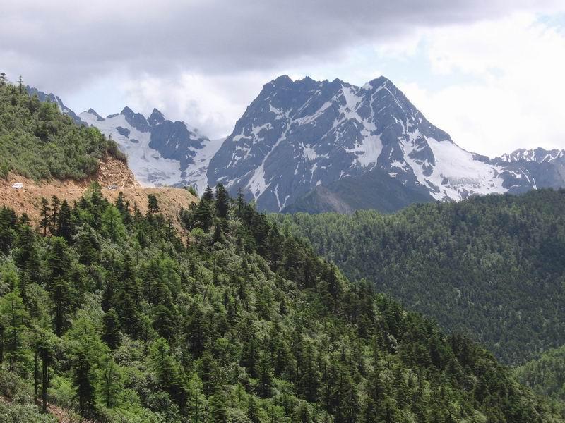 CLIMA La foresta a foglie caduche si sviluppa