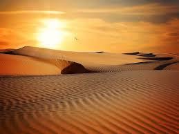 CLIMA Il deserto è caratterizzato da un'elevata aridità.
