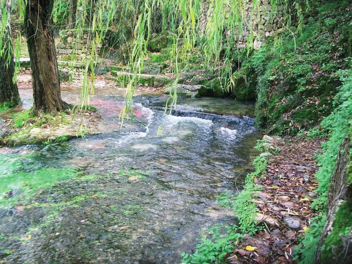 6 Gologone natural spring (extraordinary flood)