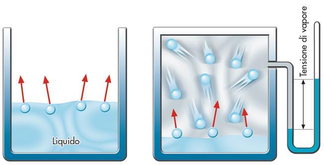 Evaporazione: passaggio dallo stato liquido allo stato vapore equilibrio dinamico aporazione condensazione velocità aporaz = velocità