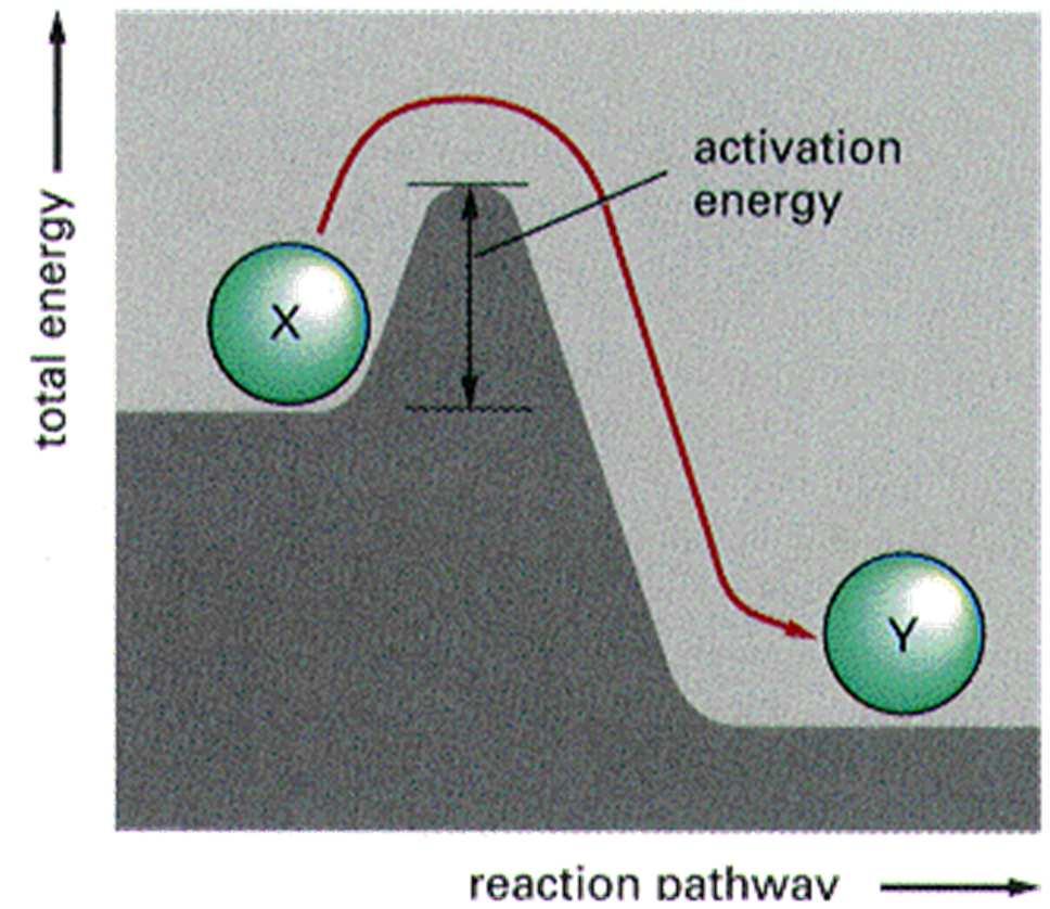 2 Energia di attivazione Y si trova ad uno stato energetico inferiore rispetto a X Conversione X Y termodinamicamente favorevole Ma la reazione non avviene se X non acquisisce sufficiente