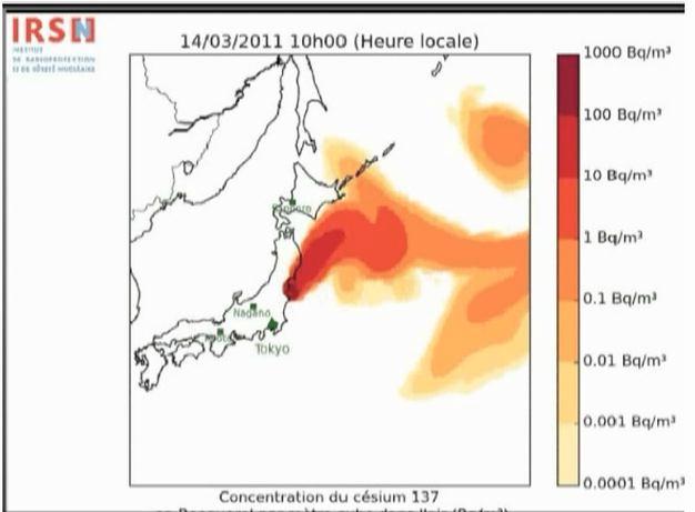 Fukushima: : le conseguenze radiologiche misurati picchi di contaminazione di 20-600 kbq/m 2 impatto