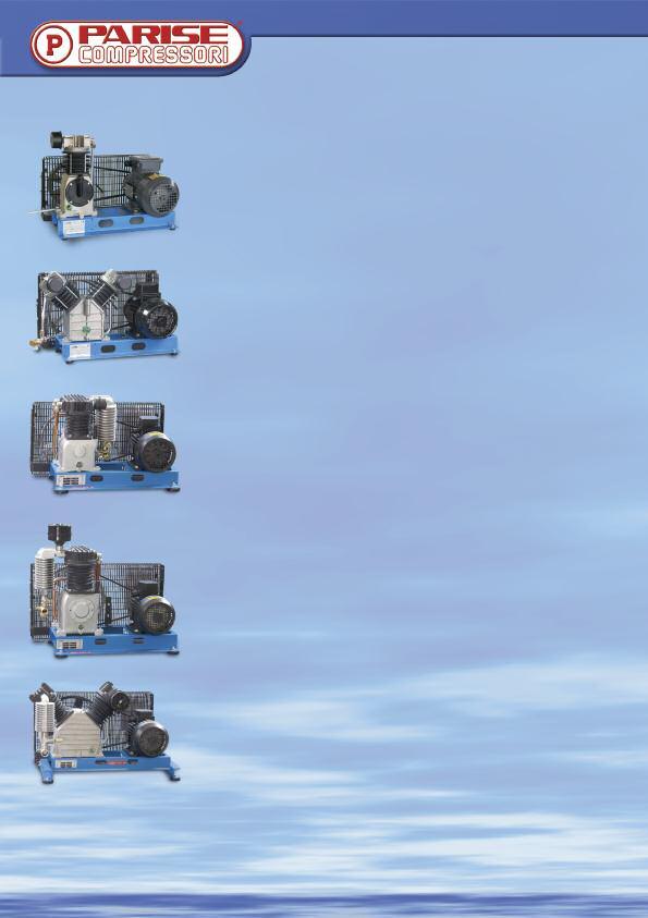 COMPRESSORI SU BASAMENTO BASE-MOUNTED COMPRESSORS P60/1B P60/2B P43/85B Compressori su basamento monocilindrici monostadio / One-cylinder single stage Base-mounted compressor Model P52/1BM P52/1 120