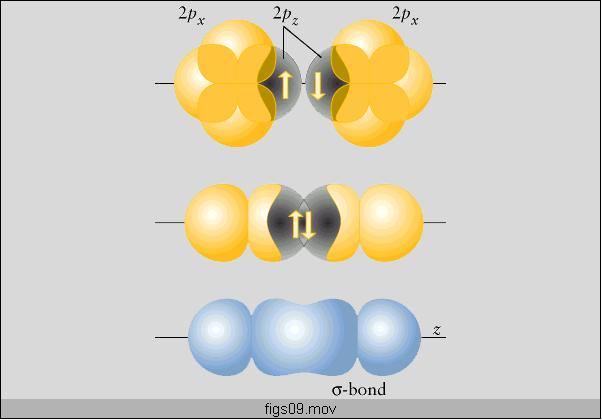 La molecola di 2 13 La molecola di 2 Distribuione di probabilità