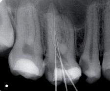 sale. IMMAGINI DI QUALITÀ ECCELLENTE Immagini ad alta risoluzione per