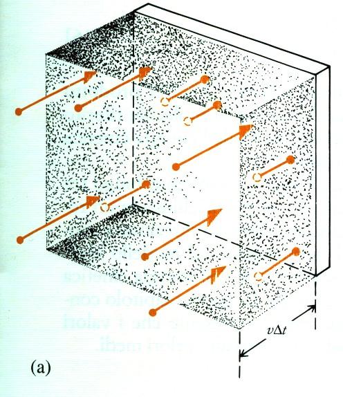 Un gas in una scatola Ipotesi semplificative: le molecole del gas urtano perpendicolarmente