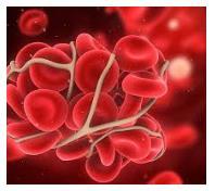 FARMACI ANTICOAGULANTI Sono farmaci utilizzati per controllare la fluidità del sangue mediante regolazione del processo di emostasi.