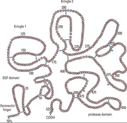 Farmaci fibrinolitici ALTEPLASE E una serin-proteasi a singola catena di 527 amino