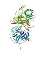 Farmaci fibrinolitici STAFILOCHINASI E prodotto da S. aureus. Può essere espresso in E. coli.