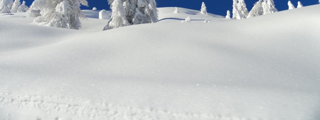 neve in zone protette dal vento: 70-120 kg/m 3 Densità