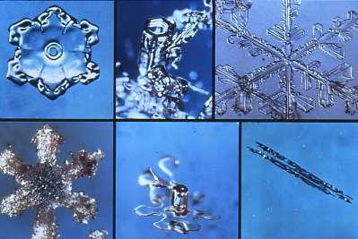 Varie forme della neve meteorica il processo avviene nella libera atmosfera e quindi in condizioni ovviamente variabilissime dando luogo a una grande