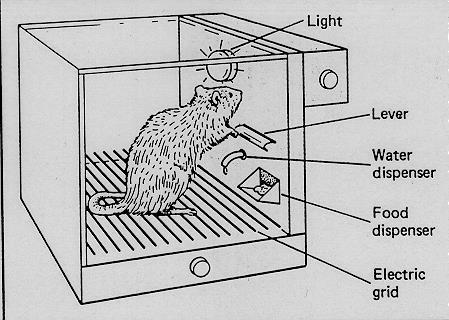 Condizionamento Operante Nell esperimento di Skinner il topo in gabbia preme inizialmente una leva che registra l intensità della pressione; successivamente quando il topo tocca la