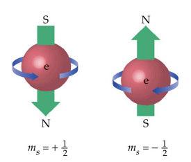 Lo SPIN dell elettrone Gli elettroni presentano non solo un moto di rotazione orbitale intorno al nucleo ma anche un moto di rotazione intorno al proprio asse.