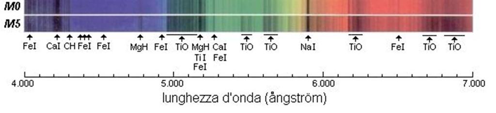 moleolari, più marate nelle stelle