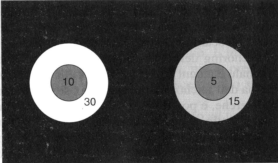 Esperimento del tipo Wallach (1948) in cui sono mostrati i valori della luminanza.