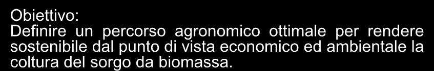 ATTIVITÀ COLTURE BIOENERGETICHE FILIERA BIOMASSA ENERGIA Sorgo da fibra Prove Agromomiche: concimazione, investimento (p/m 2 ), semina su sodo, epoca di semina e