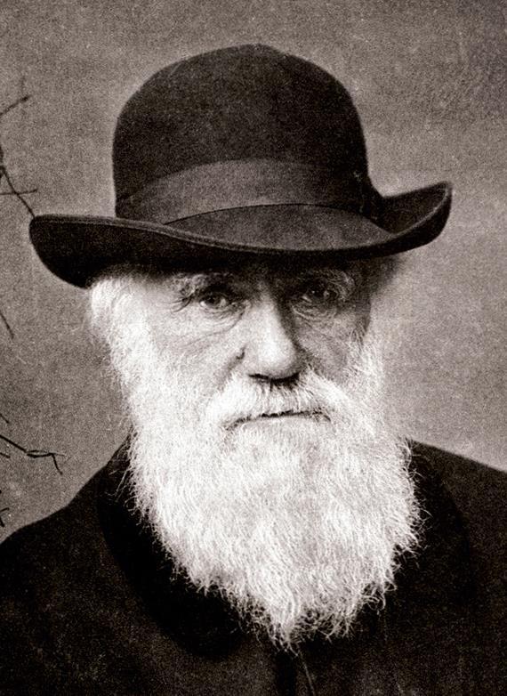 Charles Darwin fu avviato agli studi medici che non portò a termine, entrò al Christ's College di Cambridge per intraprendere la carriera ecclesiastica. L'incontro con il botanico J. S.