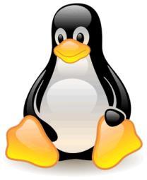 Parleremo di GNU/Linux e UNIX Ottengo accesso ad una macchina e