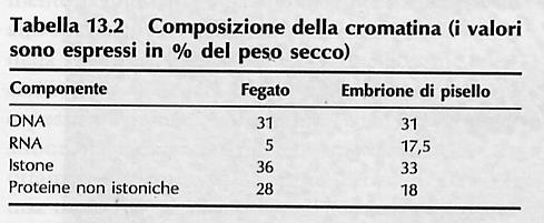 POLIMERASI) MATURAZIONE DEL PRE-mRNA REGOLAZIONE DEL PROCESSO DI