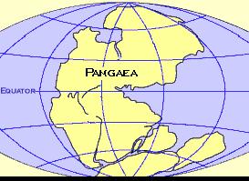Asia, Africa, Europa, Americhe, Oceania e Antartide facevano parte, all'origine, di un unico grande continente "Pangea", formatosi circa