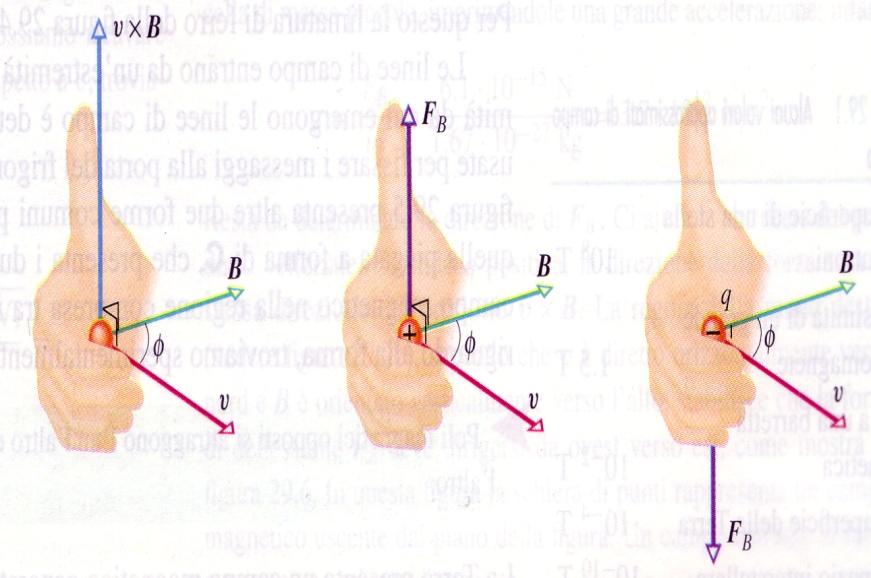 Campo magne*co La carica negativa sente una