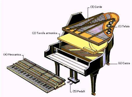 La costruzione Il pianoforte è costituito dalle seguenti parti: La cassa la cassa la tavola armonica il telaio Il somiere le corde la tastiera la meccanica i pedali È la parte esterna dei pianoforti.