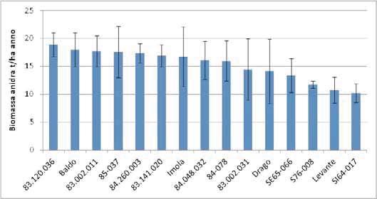 La produzione media di biomassa secca epigea dell impianto al 6 anno è stata pari a 15 t/ha/anno (Fig. 5).