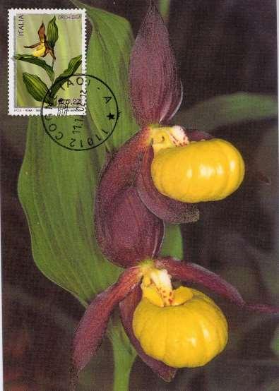 Flora e Fauna - Orchidea Em. 11-10.