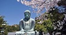 A metà pomeriggio breve crociera sul fiume Sumida e, attraverso la spettacolare baia di Tokyo, raggiungeremo l isola artificiale di Odaiba (traghetto non incluso nella quota).