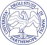 UNIVERSITA DEGLI STUDI DI NAPOLI PARTHENOPE DIPARTIMENTO DI STUDI AZIENDALI E QUANTITATIVI PROGETTO E-LEARNING ----- MODULO