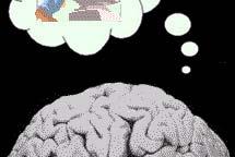 Brains cause minds (J. Searle) 10 11 Neuroni interconnessi per: Vedere, parlare, muoverci.