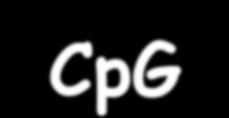 metilazione CpG isola CpG nel