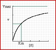 sono costanti V max non è raggiungibile, ma alla [S] che v = V max 2 ½V max quindi K M =