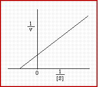 proporzionale alla [S] V max v L equazione di Lineweaver-Burk se consideriamo il reciproco di v