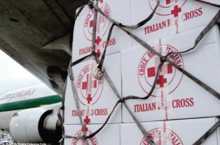 risposta a disastri o crisi che interessano paesi esteri: operando con il sistema della Federazione Internazionale di Croce Rossa; su richiesta del Comitato